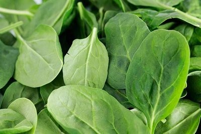 牛皮癣患者需要怎样饮食?